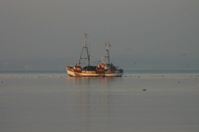 Η Επιτροπή προτείνει αλιευτικές δυνατότητες για το 2025 στη Βαλτική Θάλασσα