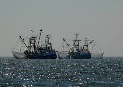Περισσότερες προσπάθειες για την οικοδόμηση ενός ανθεκτικού και βιώσιμου αλιευτικού τομέα