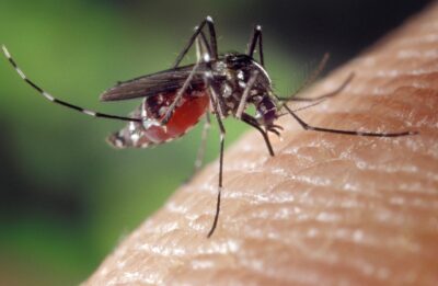Η Επιτροπή εγκρίνει το εμβόλιο της Chikungunya και χρηματοδοτεί νέο πρόγραμμα εκρίζωσης των κουνουπιών