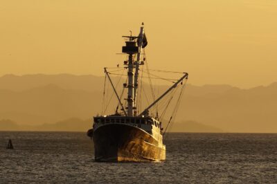 Ερωτήσεις και απαντήσεις για τις αλιευτικές δυνατότητες στη Βαλτική Θάλασσα το 2025